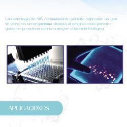 proteinas proteinas