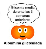 albumina glicosilad