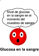 glucosa en la sangre